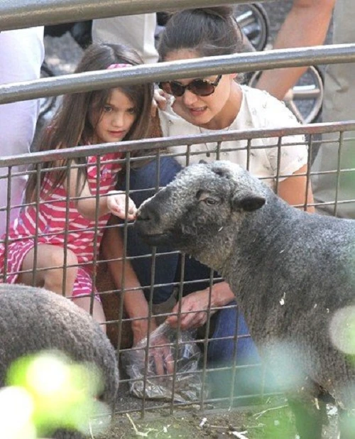 Hè, đưa bé đi đâu? ảnh 3